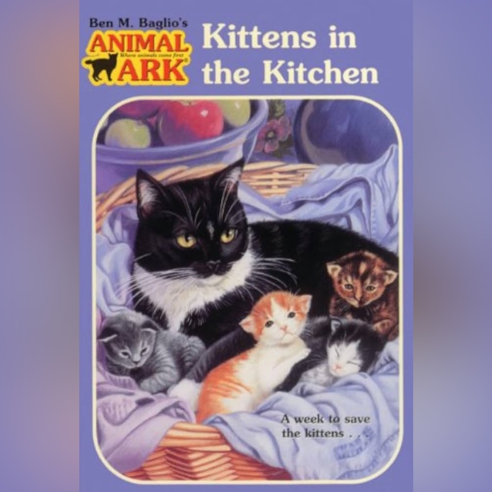 Kittens in the kitchen
